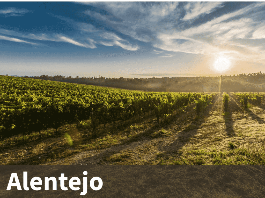 vinhos alentejo