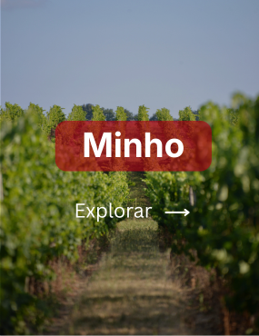 Explorar >